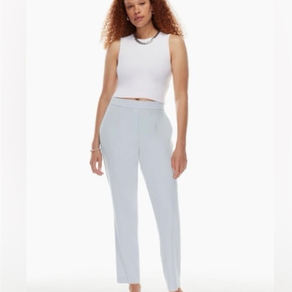 Babaton Conan Pant from Aritzia